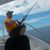 Marc Johnson's profile image