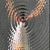 Jodie Sue Strausbaugh's profile image