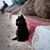 Shannon Grigsby Spencer's profile image