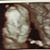 Shellie Wiersma's profile image