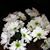 Tammy Bennett Highsmith's profile image