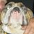 Tom Calski's profile image
