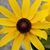 Madelyn Russell Cornish's profile image