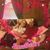 Gary Koon's profile image