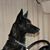 Carol A Effinger Manasco's profile image