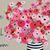Sheila Hamrick Timmins's profile image