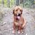 Dee Lobb Quesnel's profile image
