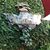 Kimberly Dupont's profile image