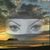 Dianne Renee Shilling's profile image