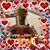 Kenny Ho's profile image