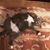 Brenda Gunter's profile image