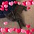 Sharyl Haberl Lee's profile image