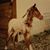 Norma Jean Johnson Stewart's profile image