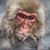 Jim Duffy's profile image
