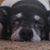 Kathleen McClellan Cunningham's profile image
