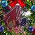 Jayne Bushman's profile image