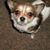 Myron Blanchard's profile image