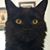 Barbara A Saunders-Jones's profile image