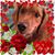 Jill Robinson's profile image