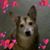 Linda Ellis's profile image