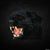 Suca Mote's profile image