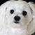 R.L. David Jolly's profile image