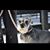 Pam Nicksic Thornton's profile image