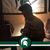 Josh Smelser's profile image