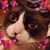 Lisa VanValer's profile image