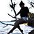 Kala Dayton's profile image