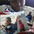 Leta Sarver's profile image
