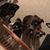 Jen Frey McQuistan's profile image