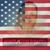 Ron Haymore's profile image