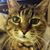 Sherry Baker Embrey's profile image