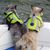 Robyn Stine's profile image