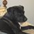 Sabrina Daves's profile image