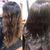 Jazmín Rodríguez's profile image