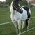 Dawn Freet's profile image