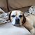 Robert Geyer's profile image
