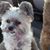 Kimberly Smith Kirby's profile image