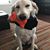 Jenny Johnson's profile image