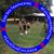 Sheila D. Dunlap's profile image