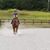 Jennifer Benoit Atkins's profile image