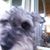 Ann Williams's profile image