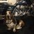 Tim Derylak's profile image