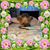 Maria Perez's profile image