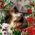 Mary Bennett's profile image