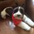 Gail Carroll's profile image