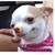Trina Slade-Burks's profile image