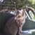 Bebe Gutierrez's profile image